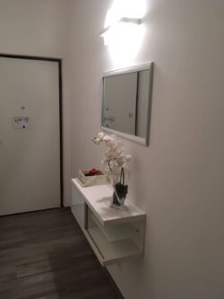 951277914