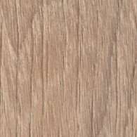 Olmo Mercurio 4539 Olmo Mercurio 4539